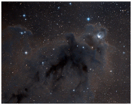 LDN 162 Dark Nebula